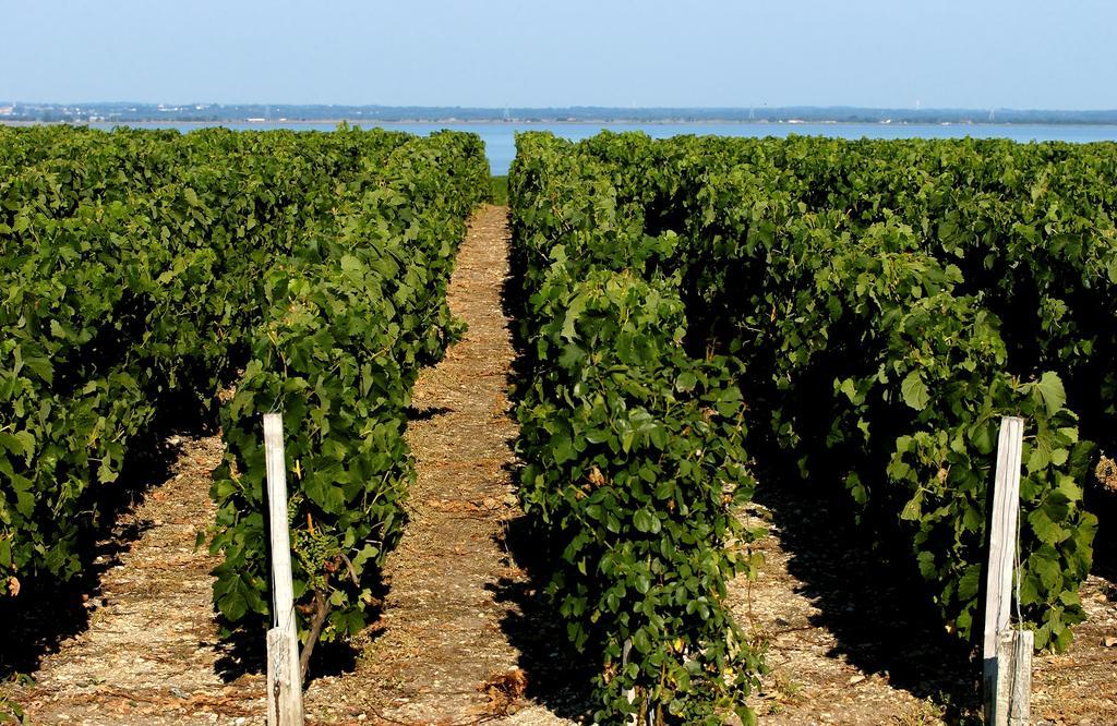 Vvf Soulac-Sur-Mer Bordeaux Medoc Bagian luar foto